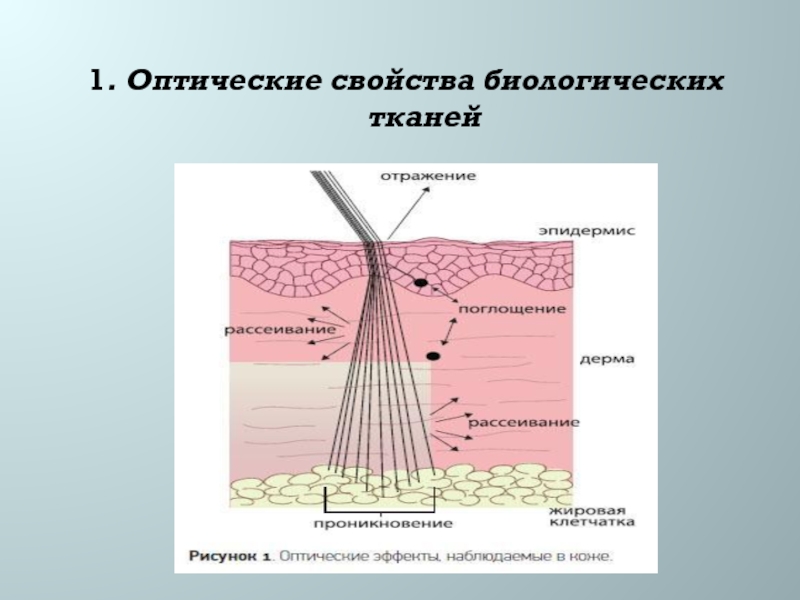 Оптические свойства