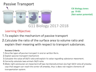 Passive transport