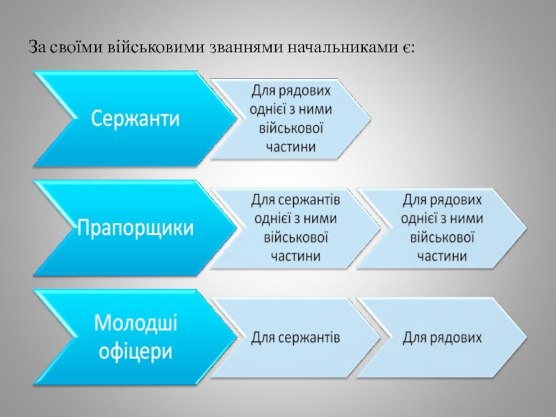 Реферат: Статути Збройних сил України Права та обов язки чатового