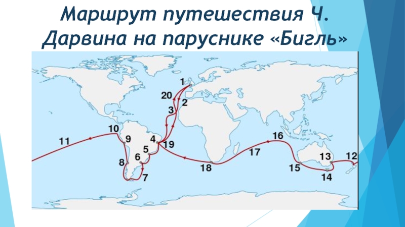 Путешествие дарвина на корабле бигль презентация