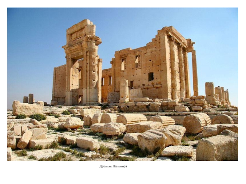 Реферат: Пальмира