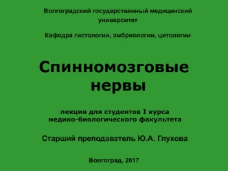 Спинномозговые нервы