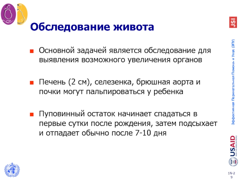 Какой орган увеличивается. Осмотр живота при спленомегалии. У ребёнка школьного возраста почки могут пальпироваться при.