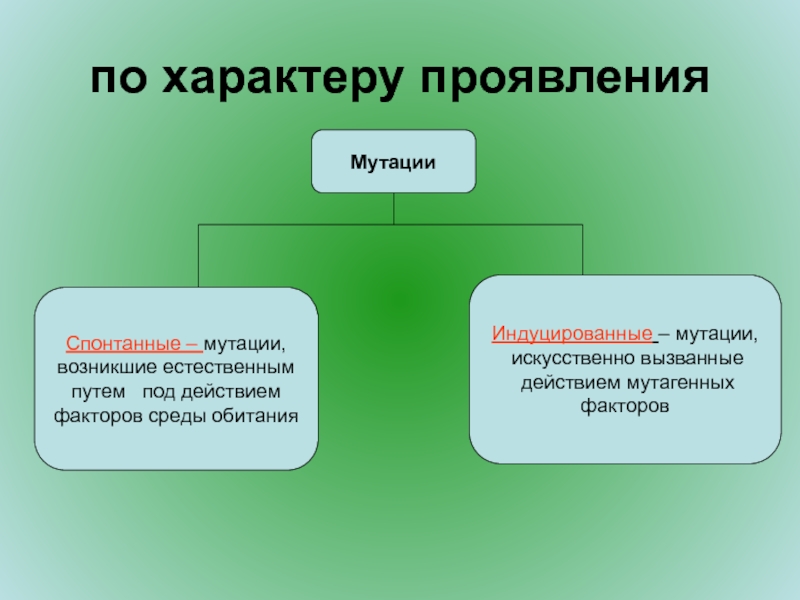 Значение спонтанных мутаций в том что