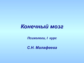 Конечный мозг