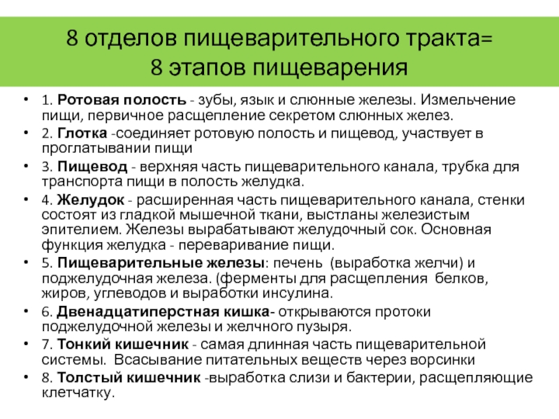 Первичное расщепление. Этапы пищеварения. Первая фаза пищеварения. Язык зубы слюнные железы строение и функции. Язык зубы слюнные железы 8 кл.