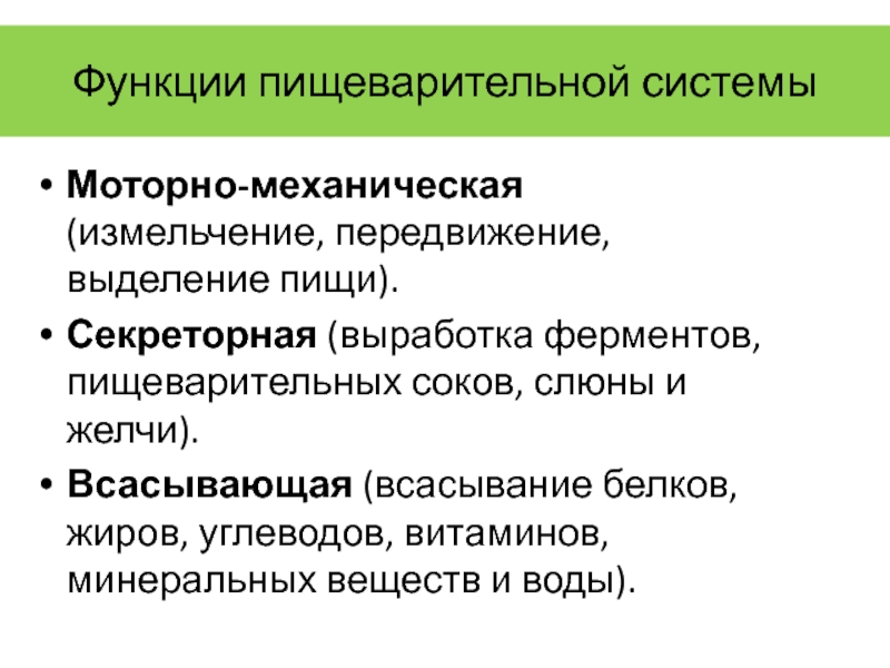 Ферменты пищеварительной системы и их функции. Функции пищеварительной системы моторная механическая. Физиологические функции. Функции пищеварительных желез моторно-механическая (измельчение ).