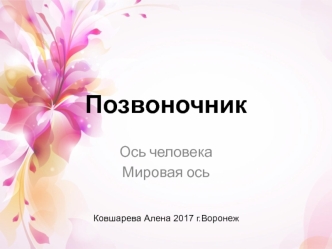 Позвоночник