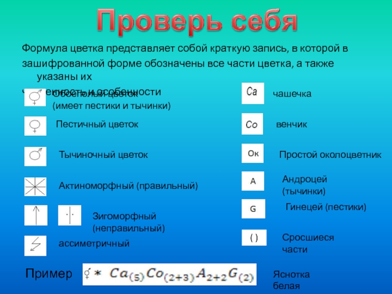 Что означает звездочка на слайде презентации