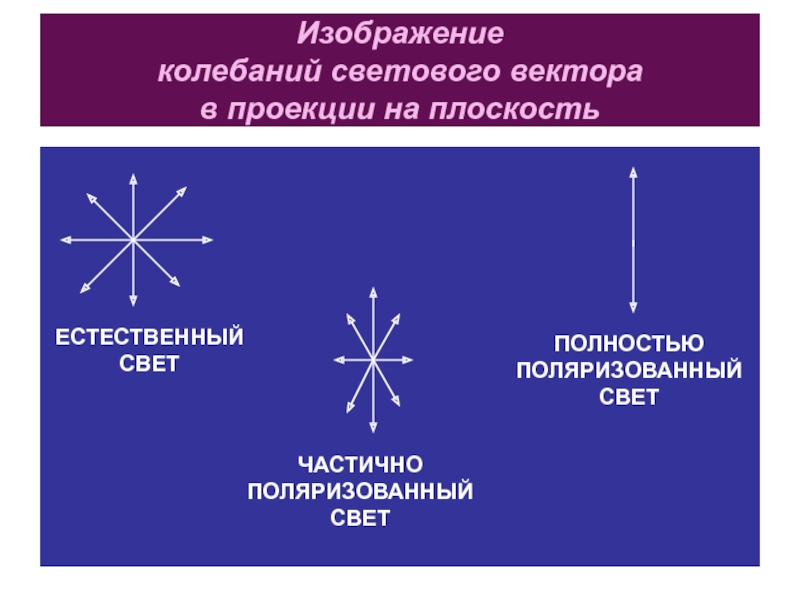 Проекционная картина поляризованного света