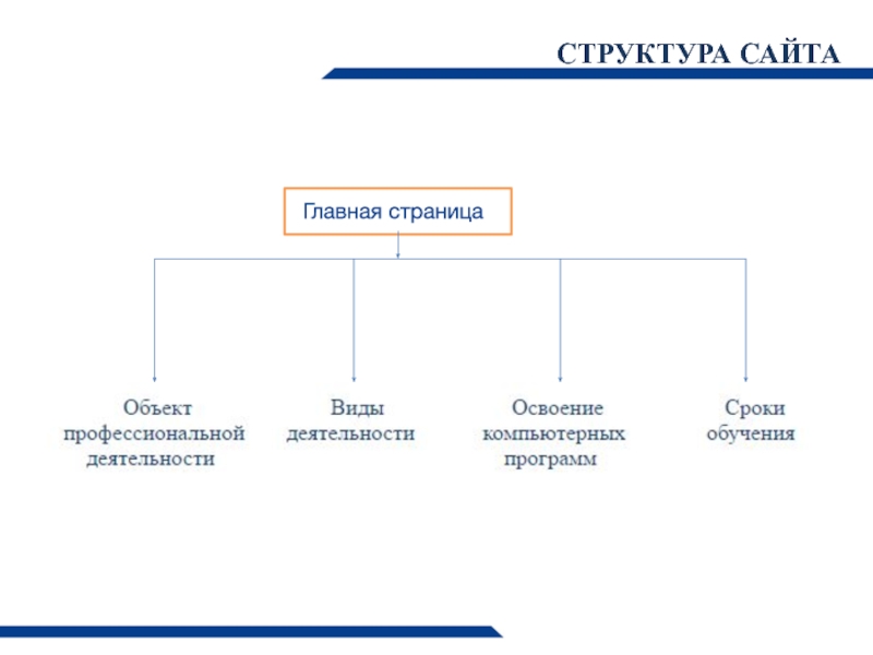 На изображении представлена структура содержание навигация сайта