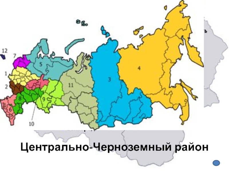 Какие субъекты в центрально черноземном. Центрально Черноземный район. Центрально-Чернозёмный экономический район. Центральный и Центрально Черноземный район на карте. Центрально Черноземный экономический район России.