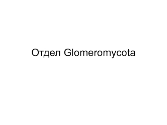 Отдел Glomeromycota