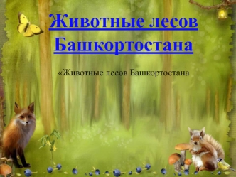 Животные лесов Башкортостана