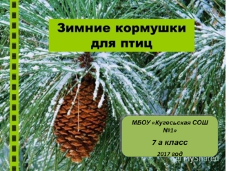 Зимние кормушки для птиц