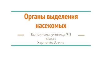 Органы выделения насекомых