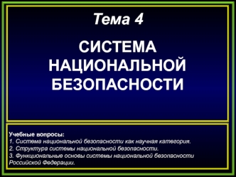 Система национальной безопасности