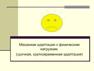 Механизм адаптации к физическим нагрузкам (срочная, кратковременная адаптация)