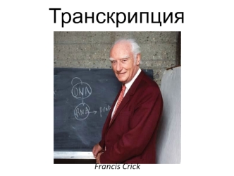 Транскрипция. Центральная догма молекулярной биологии