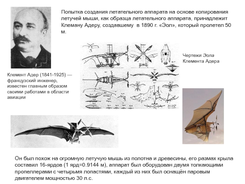 Попытка создания летательного аппарата на основе копирования летучей мыши, как образца