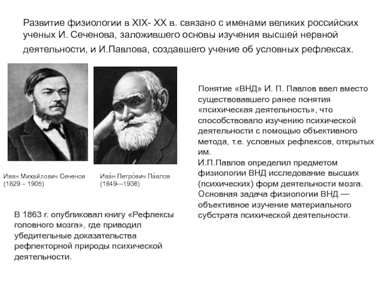 Развитие физиологии в ХIХ- ХХ в. связано с именами великих российских