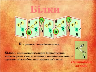 Білки. Структура білка