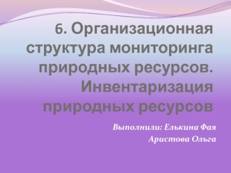 Организационная структура мониторинга природных ресурсов. Инвентаризация природных ресурсов. (Тема 6)