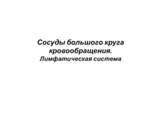 Сосуды большого круга кровообращения. Лимфатическая система