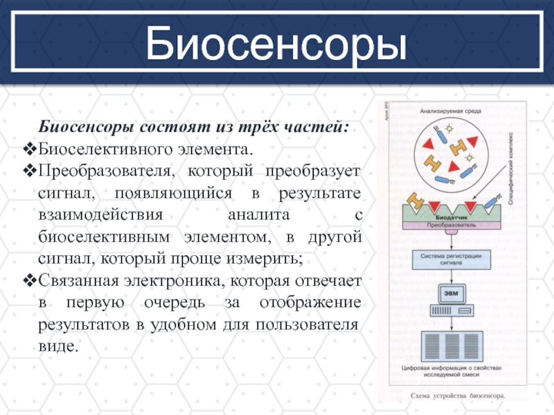 Биосенсоры для мониторинга презентация