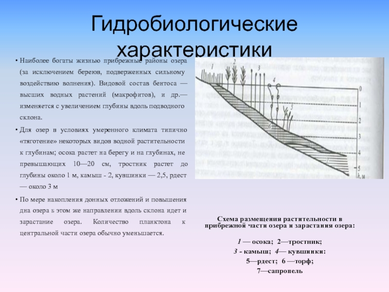 Влияние водного туризма на изменение прибрежной зоны реки проект