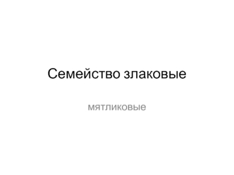 Семейство злаковые. Мятликовые