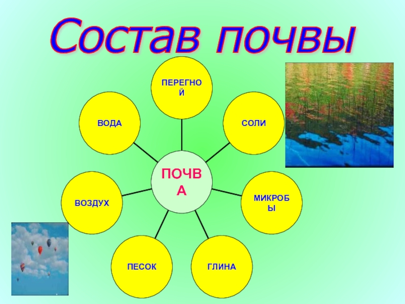 Что входит в состав почвы. Что не входит в состав почвы. Из чего состоит почва 3 класс. Состав почвы плакат для ДОУ.