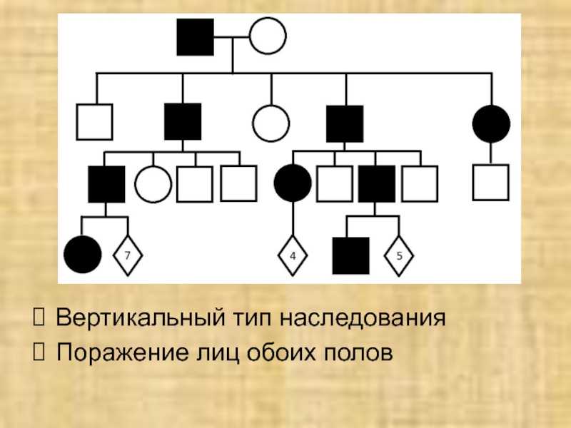 Определите вид наследования. Вертикальный Тип наследования это. Катаракта Тип наследования. Преимущественное поражение лиц женского пола Тип наследования. Тип насследования Золингер Эрисон.