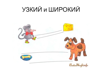 Узкий и широкий