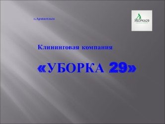 Клининговая компания Уборка 29