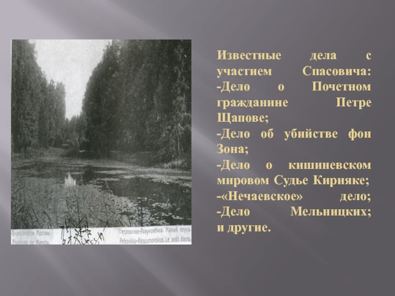 Известные дела. Нечаевское дело кратко. Нечаевское дело сторона защиты. Суть Нечаевского дела кратко. Нечаевское дело кратко Спасович.