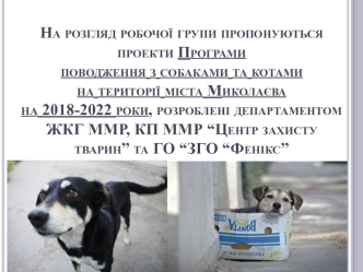 Проекти Програми поводження з собаками та котами на території міста Миколаєва на 2018-2022 роки