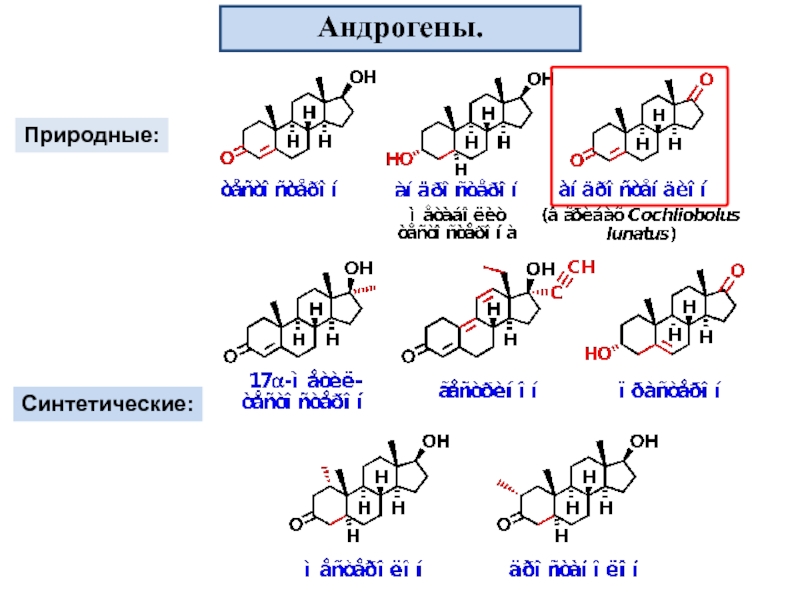 Андрогены. Андрогены образуются в. Андрогены общая формула. Синтетические андрогены.