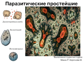 Паразитические простейшие