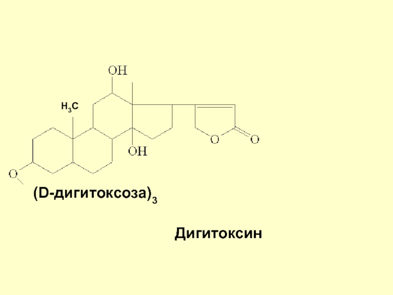 Дигитоксин рецепт на латинском