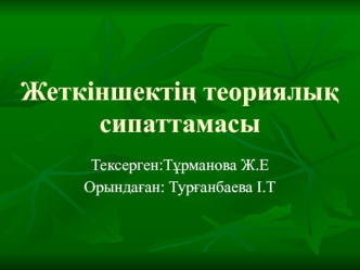 Жеткіншектің теориялық сипаттамасы