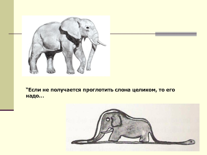 Змея которая проглотила слона