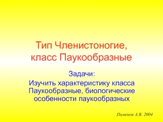 Тип Членистоногие, класс Паукообразные