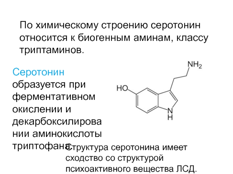 Серотонин это