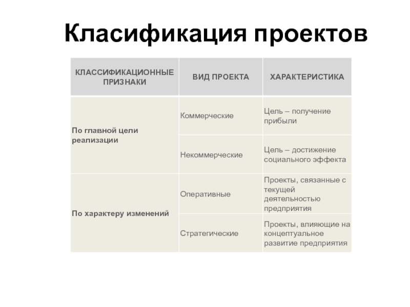 Особенности экономических проектов