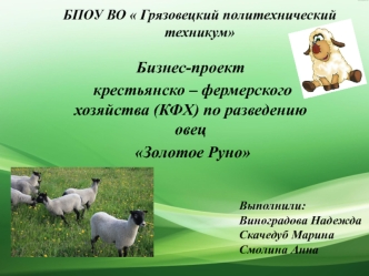 Бизнес-проект крестьянско-фермерского хозяйства (КФХ) по разведению овец Золотое Руно