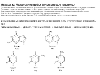 Полинуклеотиды. Нуклеиновые кислоты