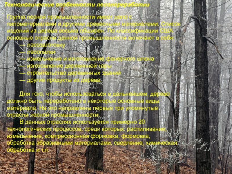 Три группы лесов. Группы лесов. Стихи про лесопереработку.