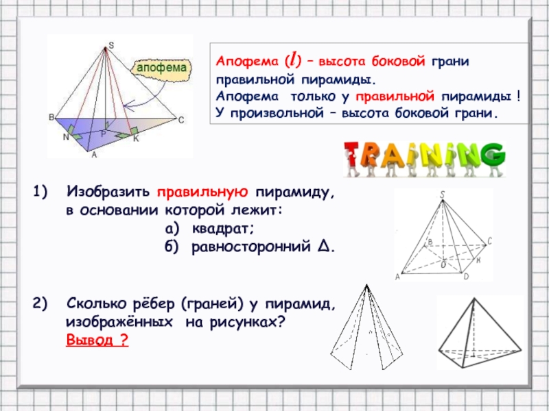 Ооо апофема проект