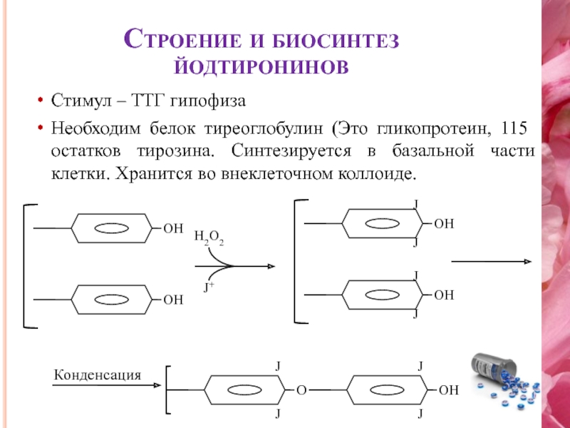 Синтез йодтиронинов схема